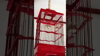 Download lagu DAKUN GARUT LASROL mp3