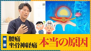 【改善実例あり】腰痛・坐骨神経痛の新常識！治らない原因は“〇〇”だった！？