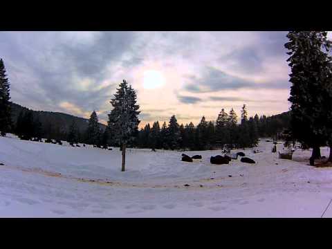 Bisons in Time Lapse