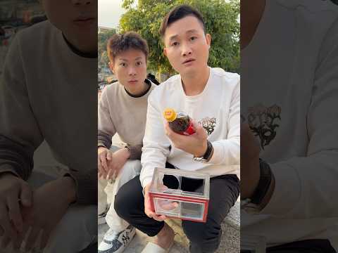 This one wakes you up #reaction #funnytoys #magician #toysforkids #magic #learnmagic #viralshots