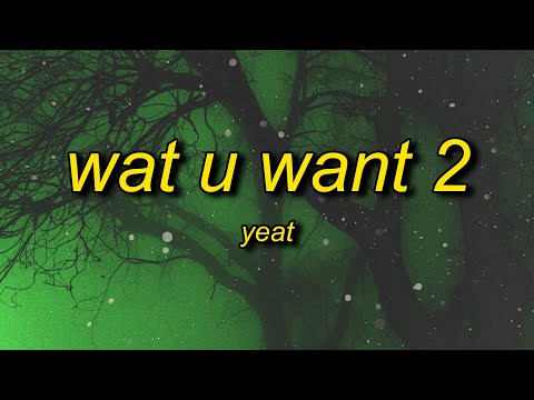 Yeat - Wat U Want 2 (prod. SKY) TikTok Version | sk sk sky