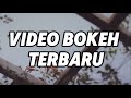 VIDEO BOKEH TERBARU 2025