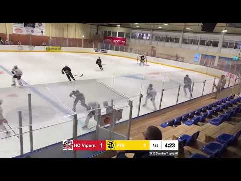 HC Vipers - FIK