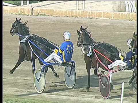 Trotto 07/04/2017 - 4ª corsa