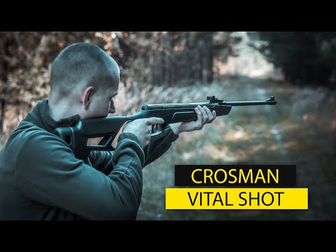 Vital Shot, 4,5 mm, Crosman