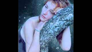 Tori Amos-Not the Red Baron