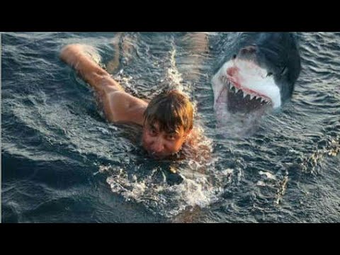 Shark Killer Movie 2019 - Official Trailer (Must Watch)