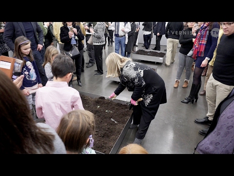 Christina Oiticica: Quatro Elementos / Brasilea Foundation, Basel