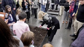 Christina Oiticica: Quatro Elementos / Brasilea Foundation, Basel