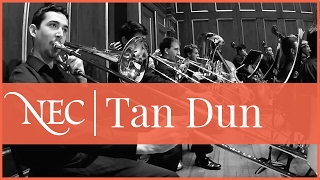 Tan Dun: Concerto for Orchestra (Marco Polo) (2012)