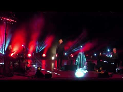 Jaromír Nohavica - Heřmánkové štěstí