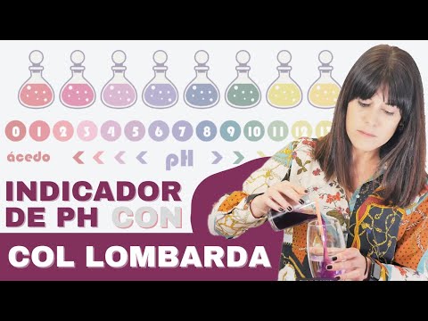 Vídeo: Indicador de pH con lombarda