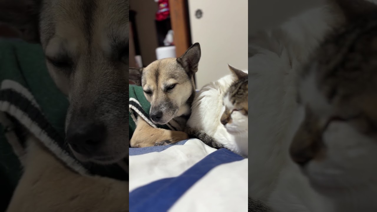 まさか！最後にそうなるの？