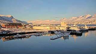 Djúpivogur Harbour