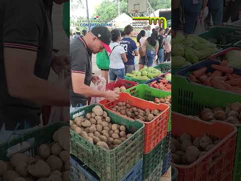 Feria El Toro - Herrera