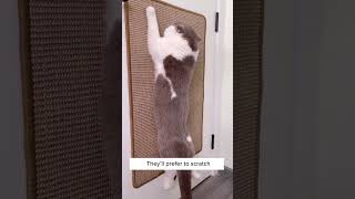 Mat Scratcher That Trims Cats Nails?? 😱