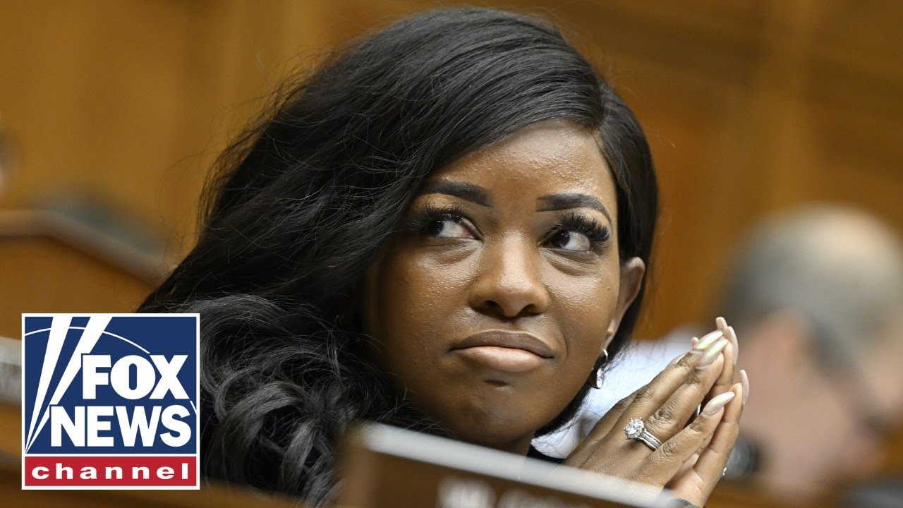 Dems FUEL anti-ICE rhetoric: 'SLAVE PATROLS'