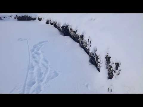 Вот так выглядит мой пруд спустя 1,5 месяца!