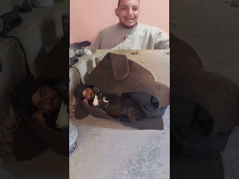 لحظة ىائعة من راعي الغنم في العيد 🐑❤️
