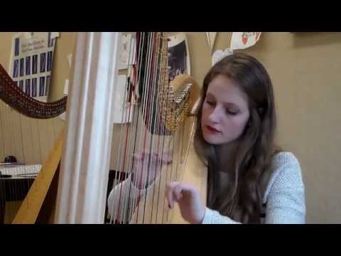 Taylor Swift - Style (Harp Cover)