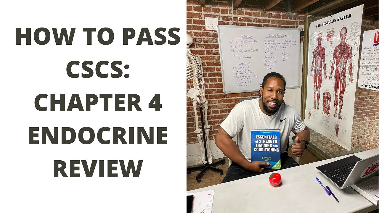 How to pass CSCS Ch. 4: Endocrine review w/ Show Up Fitness | Pass within 60-days w/ ONLINE classes