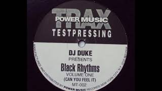 DJ Duke-Can You Feel It (Organic Parade Mix)