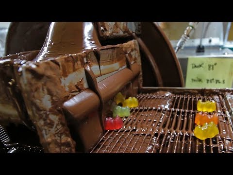 download lagu mp3 mp4 Chocolate Gummy Bears Near Me, download lagu Chocolate Gummy Bears Near Me gratis, unduh video klip Chocolate Gummy Bears Near Me