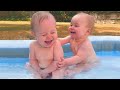 Funny Baby Siblings Playing And Laughing Together Cute Babies Video