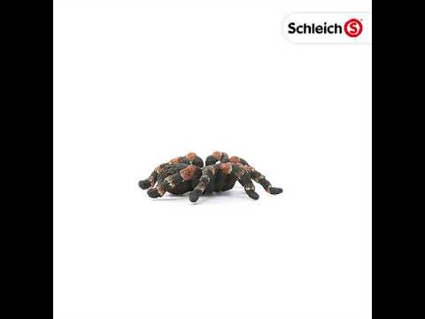 Schleich figūrėlė Tarantulas video