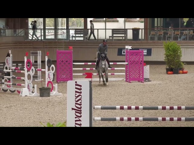 Merrie Zangersheide Te koop 2019 Schimmel ,  Continuum