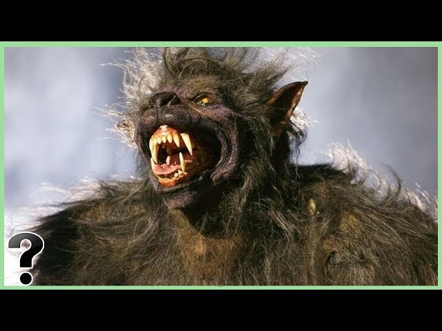 הגיית וידאו של werewolf בשנת אנגלית