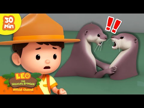 Witness21 Editor  2024 10 31