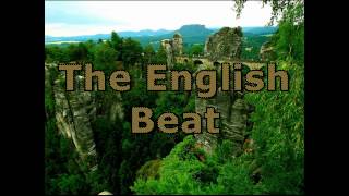 English Beat. Im too nice to talk too