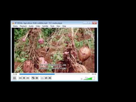 2017 02 15 PM Public Teaching in Norwegian - Offentlige læresetninger i norsk