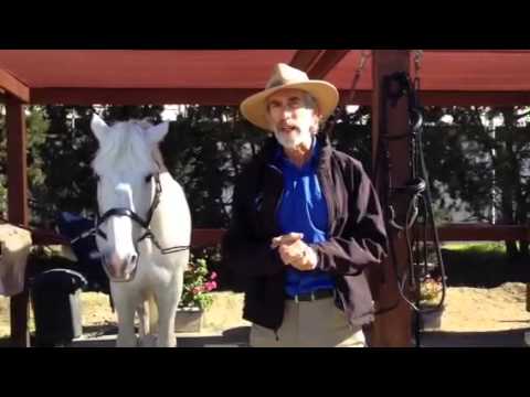 Understanding Nuno Oliveira - YouTube