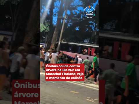 Um ônibus de viagem colidiu contra uma árvore na BR-262, em Marechal Floriano, Espírito Santo.