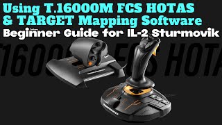 Using Thrustmaster T.16000M FCS HOTAS & TARGET Software for IL-2 Great Battles