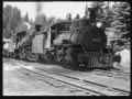 500 Miles-The Seekers