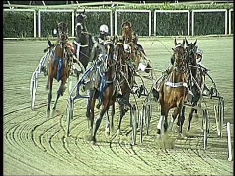 Trotto 10/01/2017 - 8ª corsa