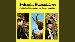 Tiroler Holzhackerbuam (Marsch)