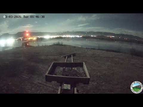 OSMP Osprey Nest Cam