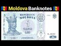 Moldova Currency Moldova Money Moldovan Leu Moldova Banknotes