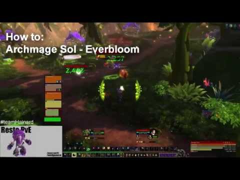 WoW WoD: How to kill Archmage Sol in Everbloom - Guide