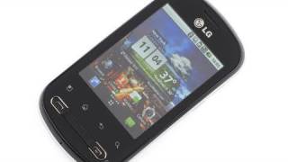 firmware lg p350 v10c