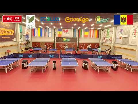 Top Cup Tour прямая трансляция.  1 лига  20 февраля 2022