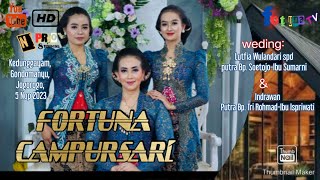 Download lagu Live FORTUNA MUSIK // HN AUDIO mp3
