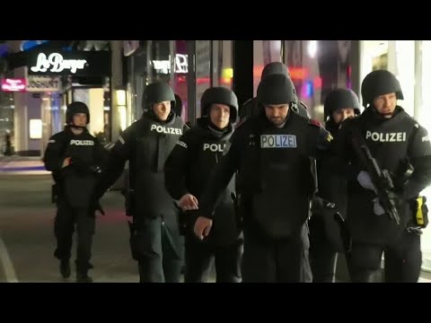 槍手在維也納發動 "恐怖襲擊 (Gunmen launch 'terror attacks' in Vienna)