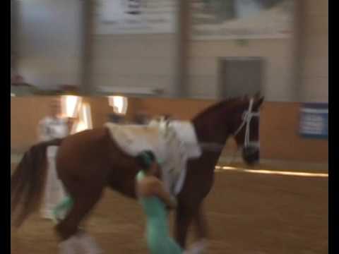 Norddeutsche Meisterschaften in Prussendorf - Kirchwerder I