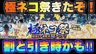 極ネコ祭ガチャきたけど、今は引き時かもしれない！　#にゃんこ大戦争　【オレンジチャンネル】