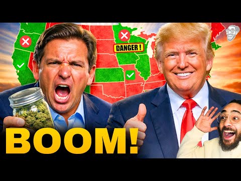 Legal News Network and iCanTV